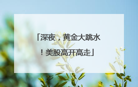 深夜，黄金大跳水！美股高开高走