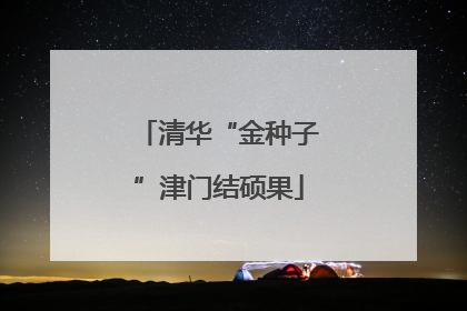 清华“金种子”津门结硕果