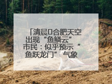 清晨﻿合肥天空出现“鱼鳞云” 市民：似乎预示“鱼跃龙门” 气象专家科普