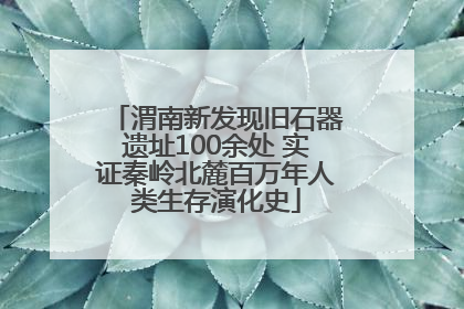 渭南新发现旧石器遗址100余处 实证秦岭北麓百万年人类生存演化史