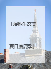 湿地生态美 夏日麋鹿欢