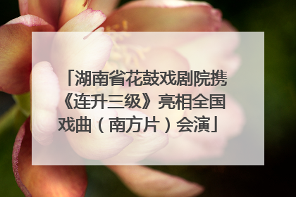 湖南省花鼓戏剧院携《连升三级》亮相全国戏曲（南方片）会演