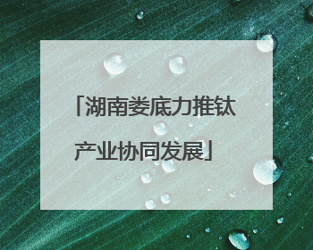 湖南娄底力推钛产业协同发展