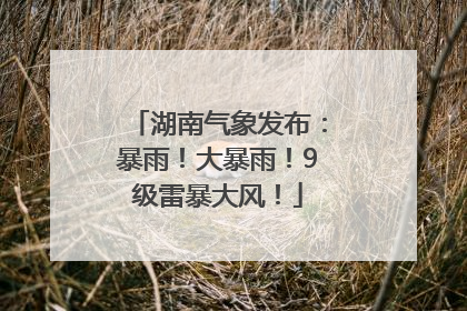 湖南气象发布：暴雨！大暴雨！9级雷暴大风！