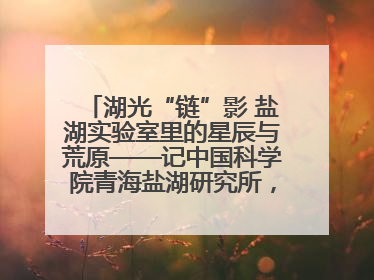 湖光“链”影 盐湖实验室里的星辰与荒原——记中国科学院青海盐湖研究所，盐湖资源化学实验室党总支书记、副主任刘忠