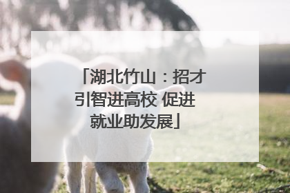 湖北竹山：招才引智进高校 促进就业助发展
