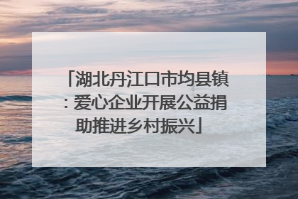 湖北丹江口市均县镇：爱心企业开展公益捐助推进乡村振兴
