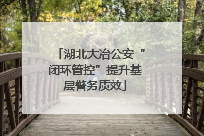 湖北大冶公安“闭环管控”提升基层警务质效