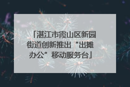 湛江市霞山区新园街道创新推出“出摊办公”移动服务台