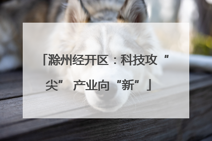 滁州经开区：科技攻“尖” 产业向“新”