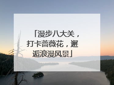 漫步八大关，打卡蔷薇花，邂逅浪漫风景
