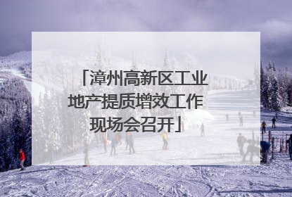 漳州高新区工业地产提质增效工作现场会召开