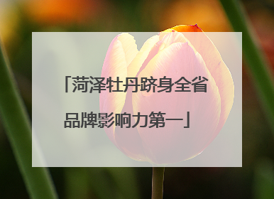菏泽牡丹跻身全省品牌影响力第一