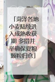 菏泽各地小麦陆续进入成熟收获期 多措并举确保夏粮颗粒归仓
