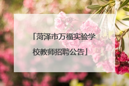 菏泽市万福实验学校教师招聘公告