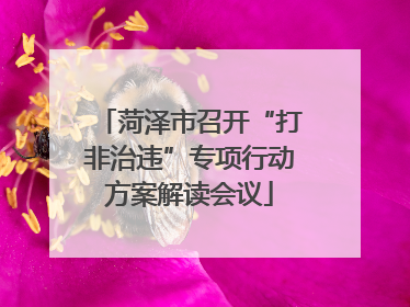 菏泽市召开“打非治违”专项行动方案解读会议
