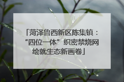 菏泽鲁西新区陈集镇：“四位一体”织密禁烧网 绘就生态新画卷