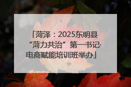 菏泽：2025东明县“菏力共治”第一书记·电商赋能培训班举办