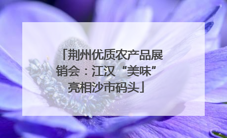 荆州优质农产品展销会：江汉“美味”亮相沙市码头