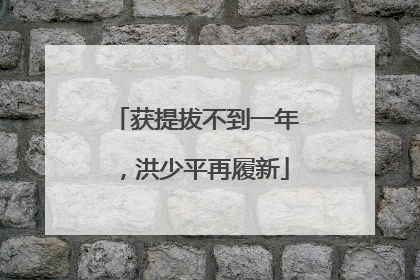 获提拔不到一年，洪少平再履新