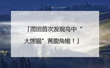 莆田首次发现鸟中“大熊猫”黄腹角雉！