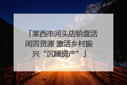 莱西市河头店镇盘活闲置资源 激活乡村振兴“沉睡资产”