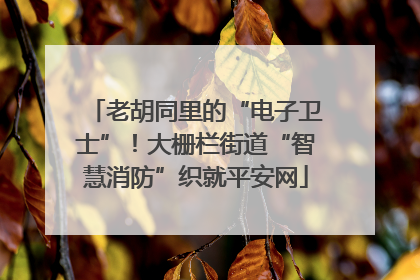 老胡同里的“电子卫士”！大栅栏街道“智慧消防”织就平安网