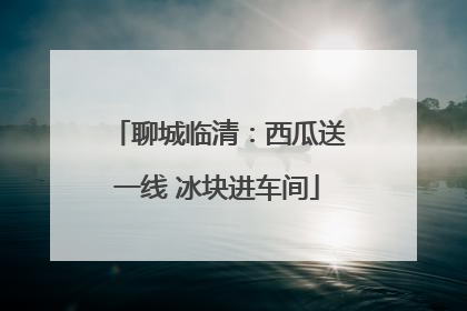 聊城临清：西瓜送一线 冰块进车间