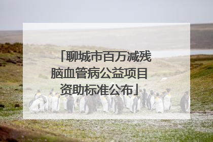 聊城市百万减残脑血管病公益项目资助标准公布
