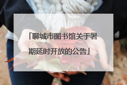 聊城市图书馆关于暑期延时开放的公告