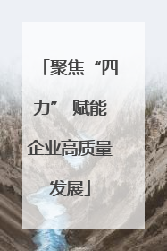 聚焦“四力” 赋能企业高质量发展