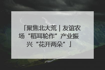 聚焦北大荒｜友谊农场“稻耳轮作”产业振兴“花开两朵”