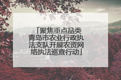 聚焦重点品类 青岛市农业行政执法支队开展农资网络执法巡查行动