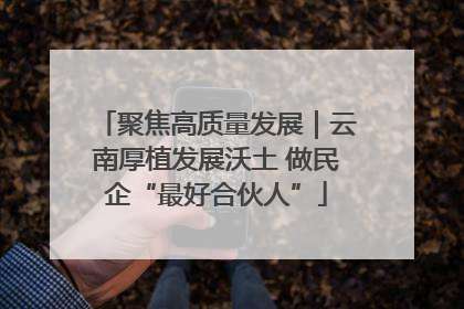 聚焦高质量发展｜云南厚植发展沃土 做民企“最好合伙人”