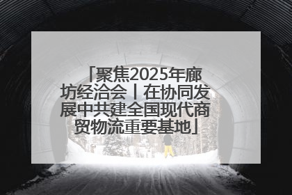 聚焦2025年廊坊经洽会丨在协同发展中共建全国现代商贸物流重要基地