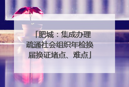 肥城：集成办理 疏通社会组织年检换届换证堵点、难点