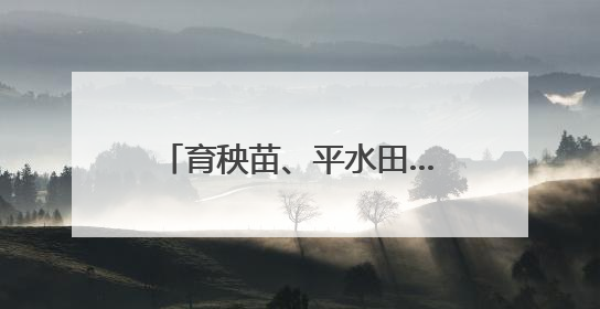 育秧苗、平水田……200多台插秧机只等一声令下