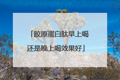 胶原蛋白肽早上喝还是晚上喝效果好