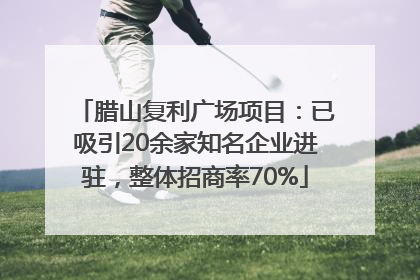 腊山复利广场项目：已吸引20余家知名企业进驻，整体招商率70%
