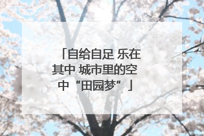 自给自足 乐在其中 城市里的空中“田园梦”