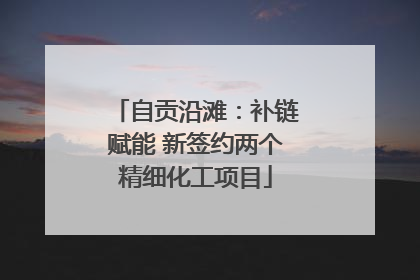 自贡沿滩：补链赋能 新签约两个精细化工项目