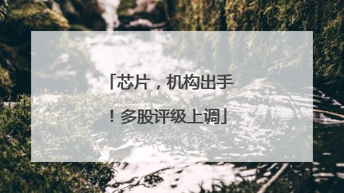 芯片，机构出手！多股评级上调
