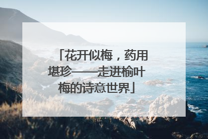 花开似梅，药用堪珍——走进榆叶梅的诗意世界