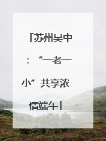 苏州吴中：“一老一小”共享浓情端午