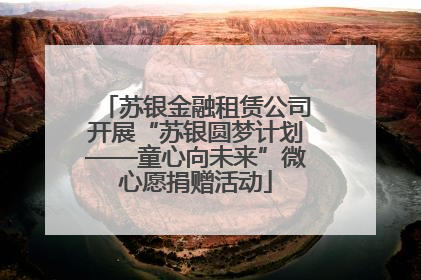 苏银金融租赁公司开展“苏银圆梦计划——童心向未来”微心愿捐赠活动