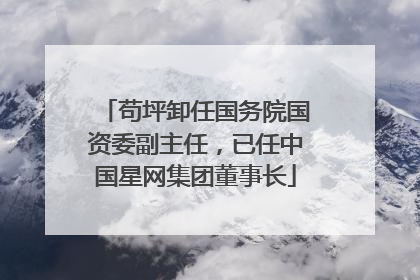 苟坪卸任国务院国资委副主任，已任中国星网集团董事长