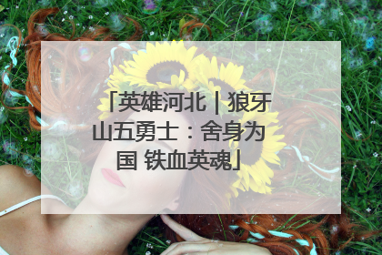 英雄河北｜狼牙山五勇士：舍身为国 铁血英魂