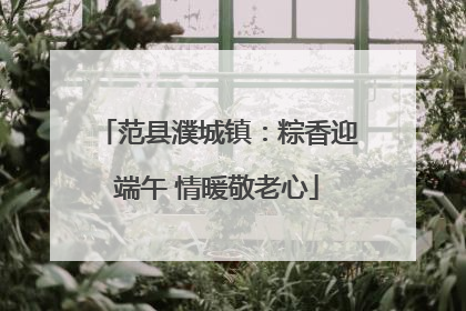 范县濮城镇：粽香迎端午 情暖敬老心