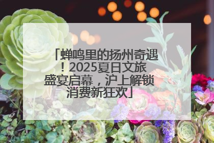 蝉鸣里的扬州奇遇！2025夏日文旅盛宴启幕，沪上解锁消费新狂欢