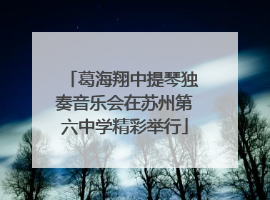 葛海翔中提琴独奏音乐会在苏州第六中学精彩举行